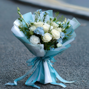 Stamford Road Newborn Baby Celebration Succulent Plants Price